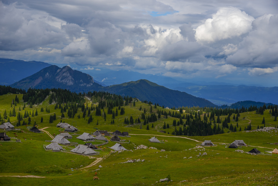 Velika Planina 