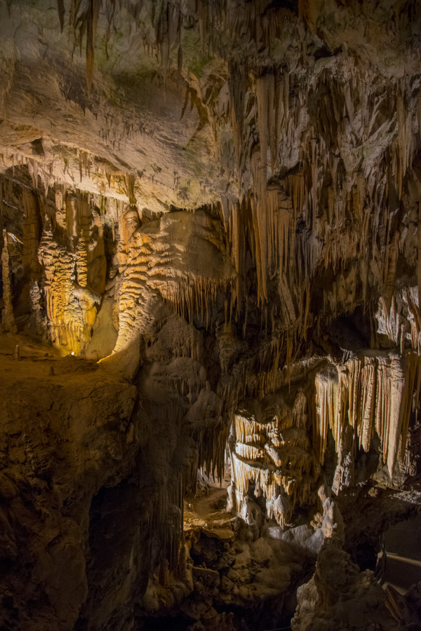 Cueva de Postojna 