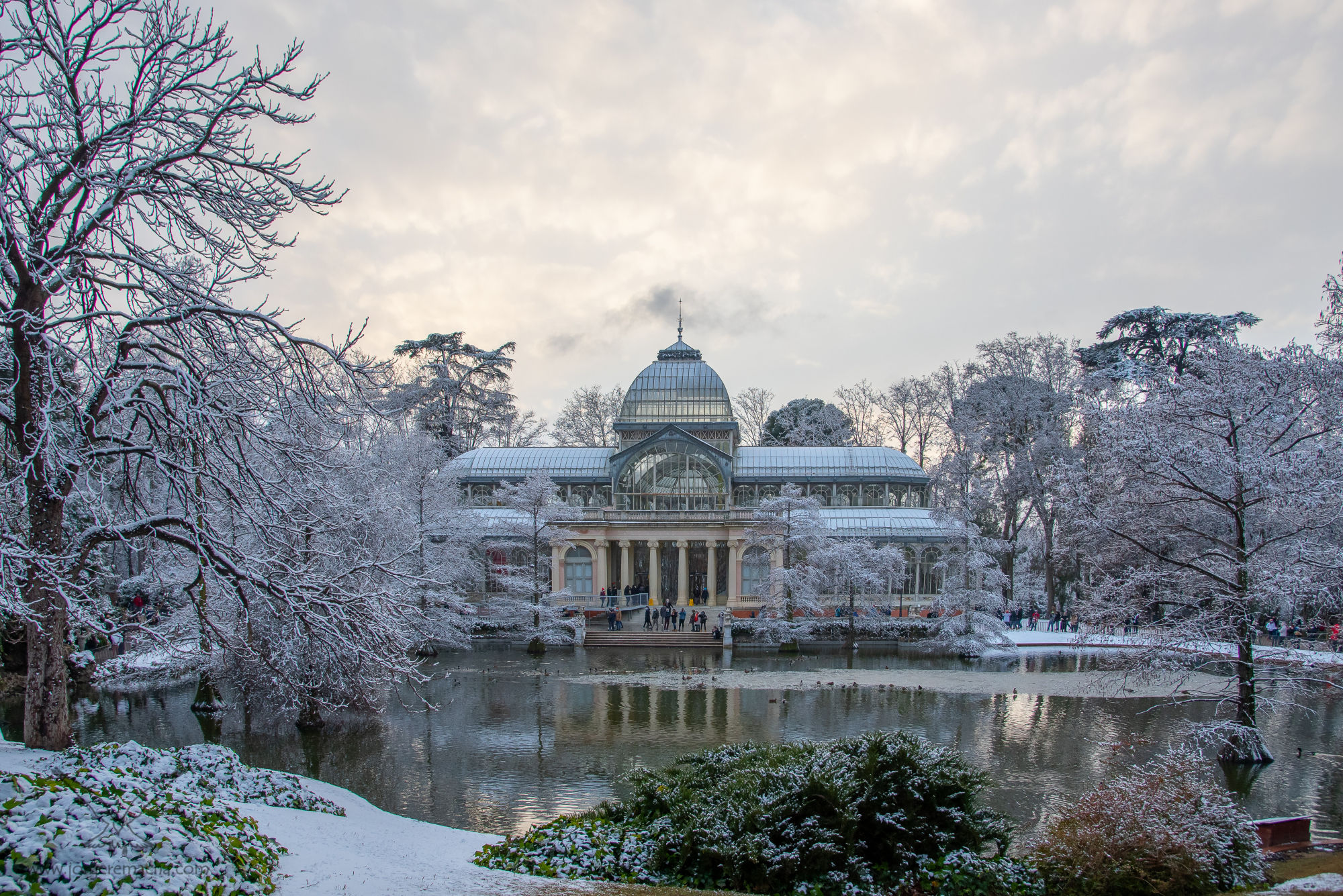 Jorge Remacha - parque-de-el-retiro-palacio-de-cristal-405-012-150.jpg