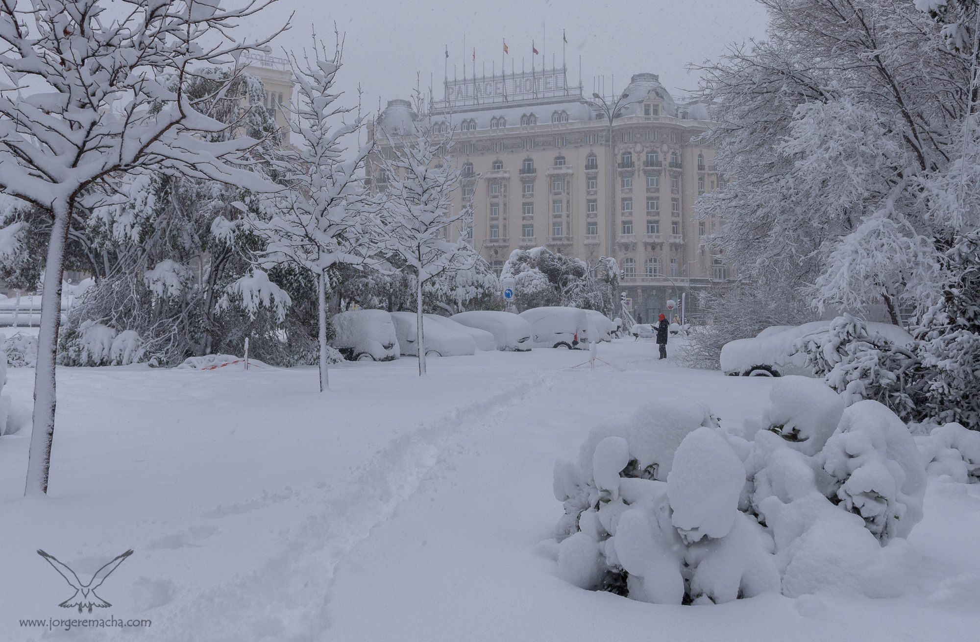 Jorge Remacha - plaza-neptuno-y-hotel-palace-405-160-141.jpg